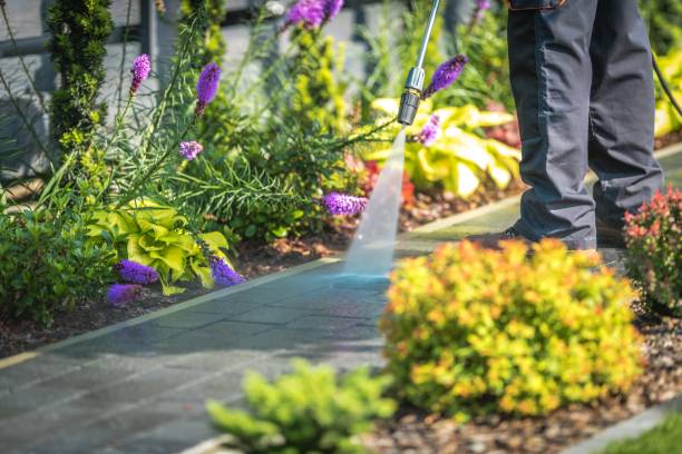 Best Spring Cleaning  in Graceville, FL