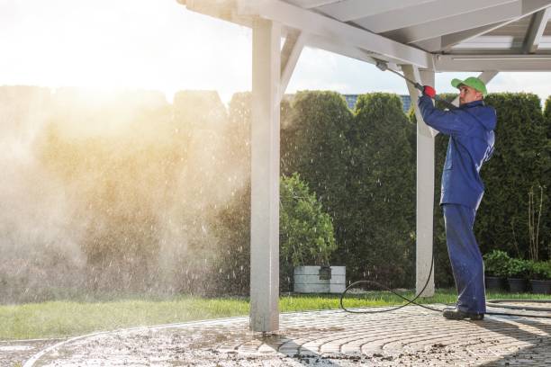 Best Dumpster Area Cleaning  in Graceville, FL