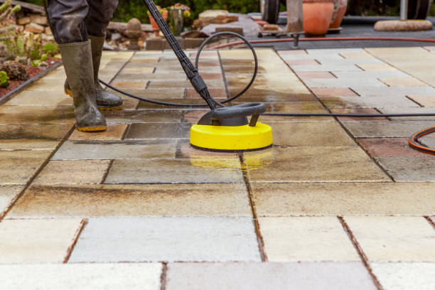 Animal Enclosure Cleaning in Graceville, FL