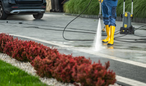 Best House Exterior Washing  in Graceville, FL
